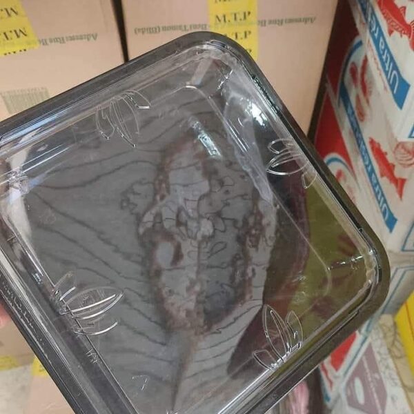 boîte salade lunch noir 50 pièces