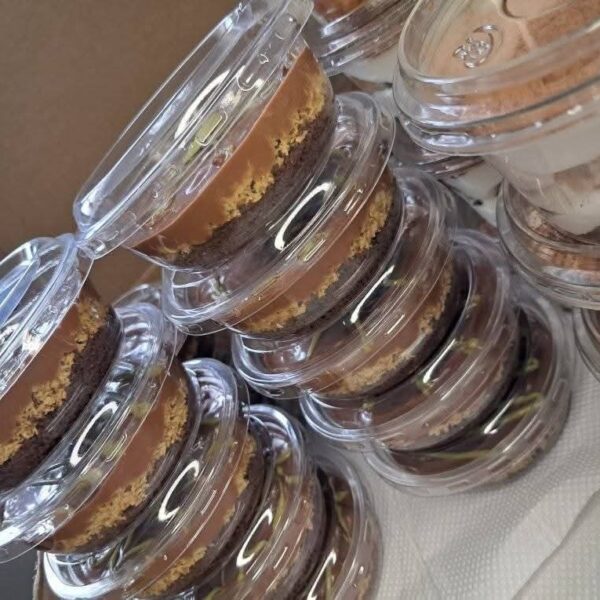 boîte 100 G   50 pièces