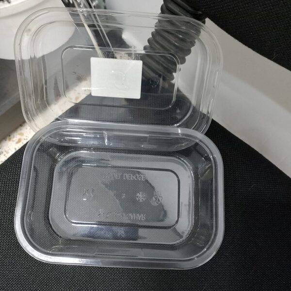 boîte salade transparent 100 piece